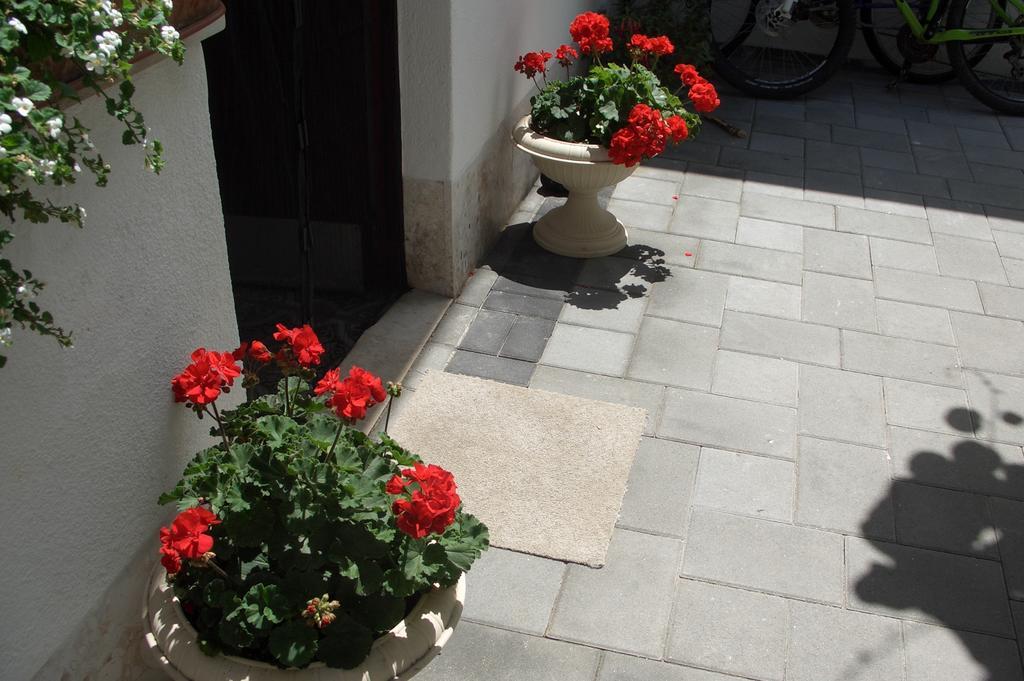 Apartment Vesna Zadar Quarto foto